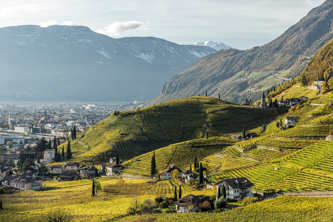 Alto Adige Wines Seminar 2026-06-03